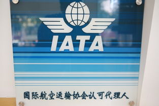 中国森林国际旅行社 构筑生态旅游与票务服务的双引擎