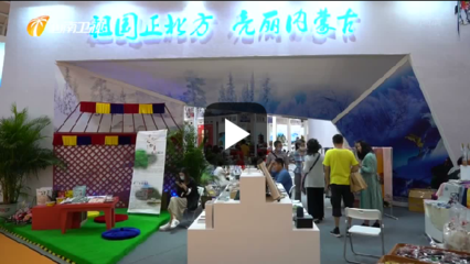 拓业务 深交流 国内外旅游企业在海南欢乐节“三展”中收获颇丰